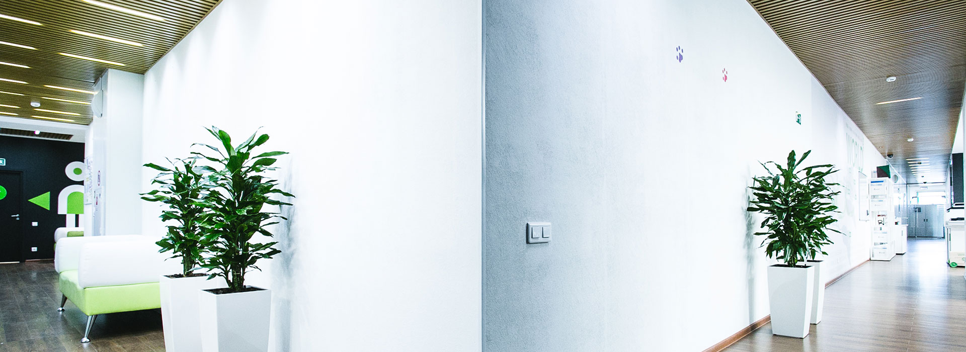 обслуживание растений, благоустройство и озеленение, ландшафтный дизайн москва, растения в офис, озеленение, озеленение офиса, озеленение интерьера, благоустройство и озеленение москва, mister green