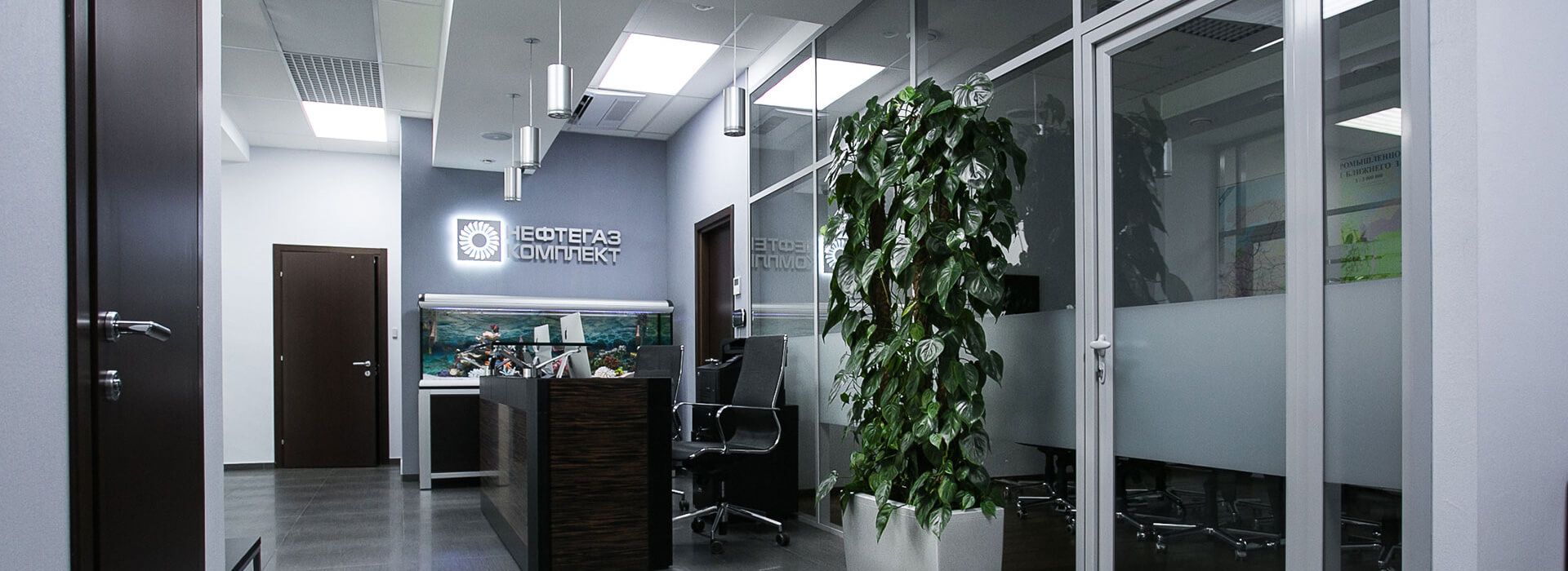 обслуживание растений, благоустройство и озеленение, ландшафтный дизайн москва, растения в офис, озеленение, озеленение офиса, озеленение интерьера, благоустройство и озеленение москва, mister green