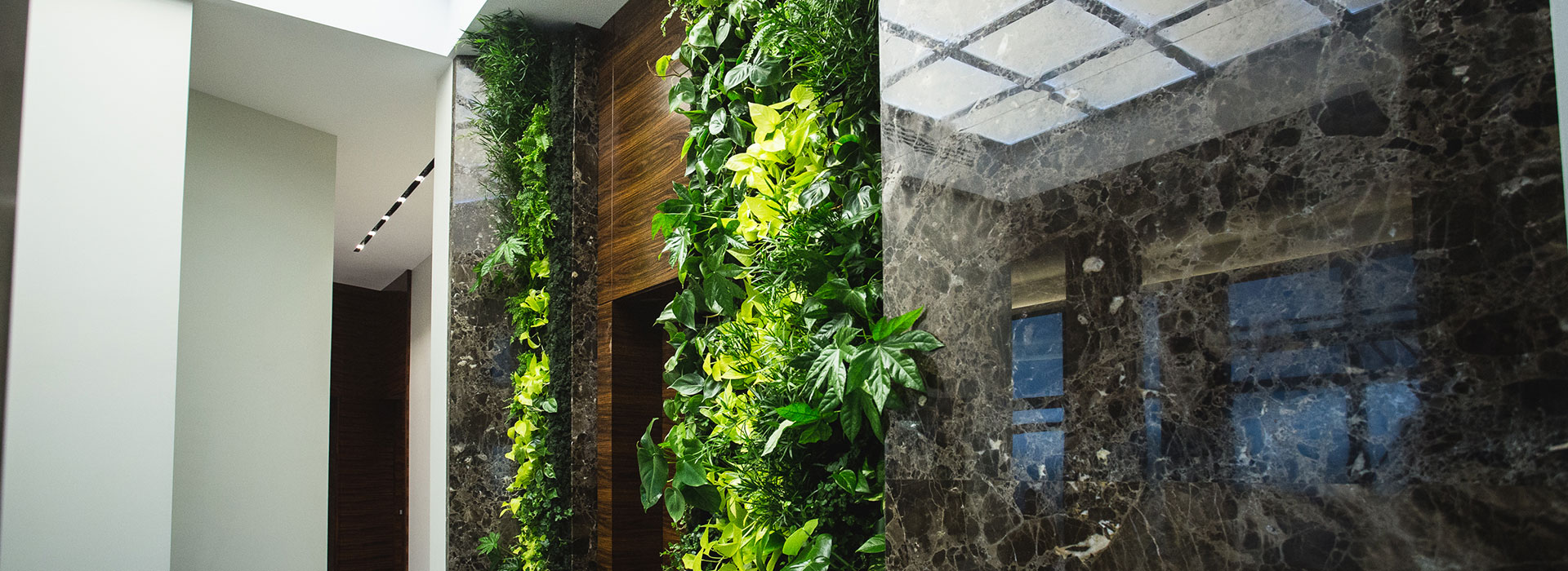 обслуживание растений, благоустройство и озеленение, ландшафтный дизайн москва, растения в офис, озеленение, озеленение офиса, озеленение интерьера, благоустройство и озеленение москва, mister green